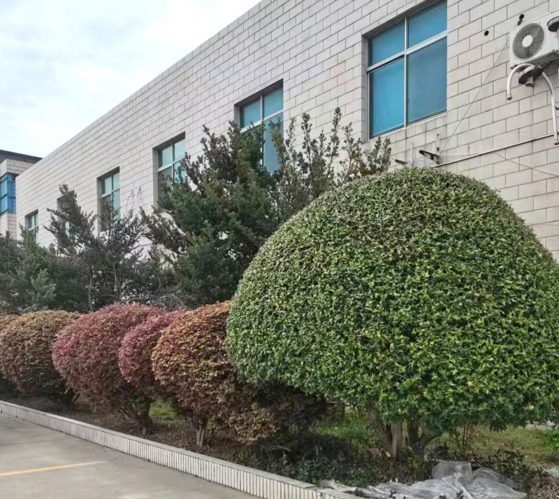 廠房廠(chǎng)貌